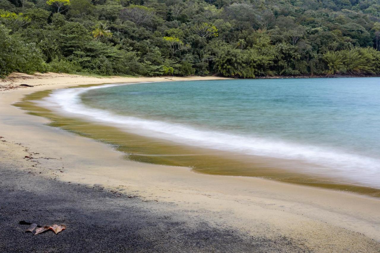 Fauna Praia do Bananal Luaran gambar