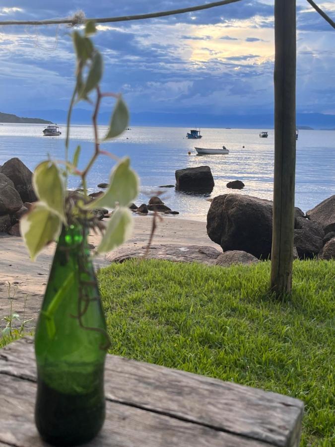 Fauna Praia do Bananal Luaran gambar