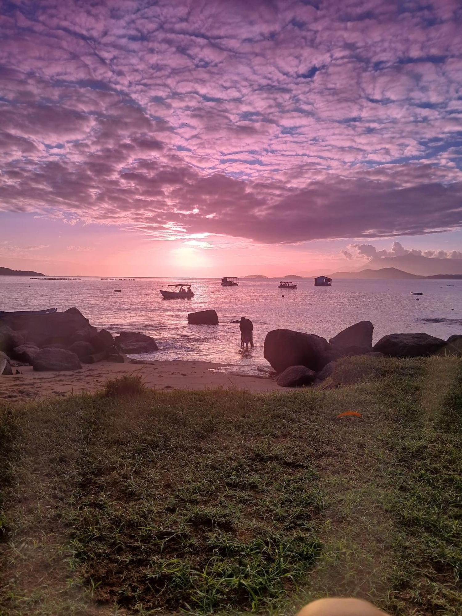 Fauna Praia do Bananal Luaran gambar
